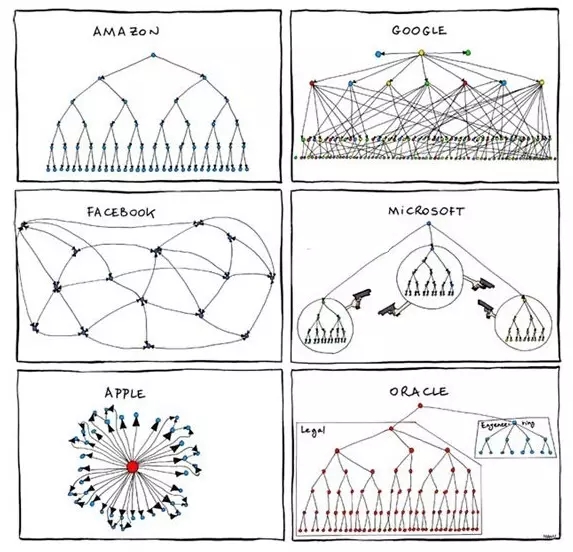 美国科技公司的组织结构图