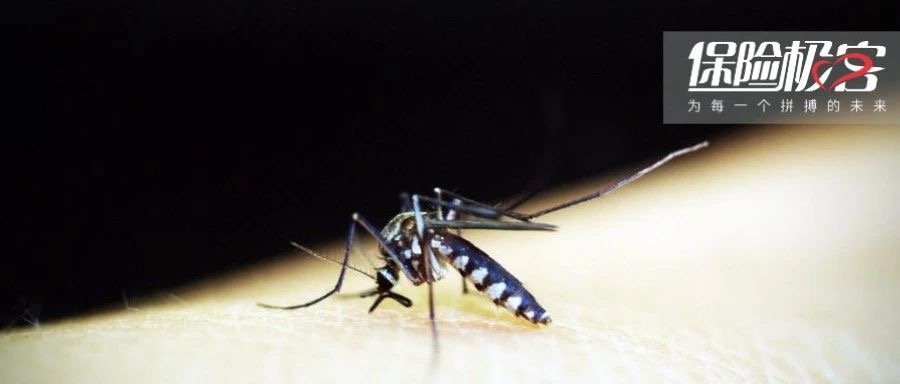 什么人更招蚊子叮？跟血型无关…